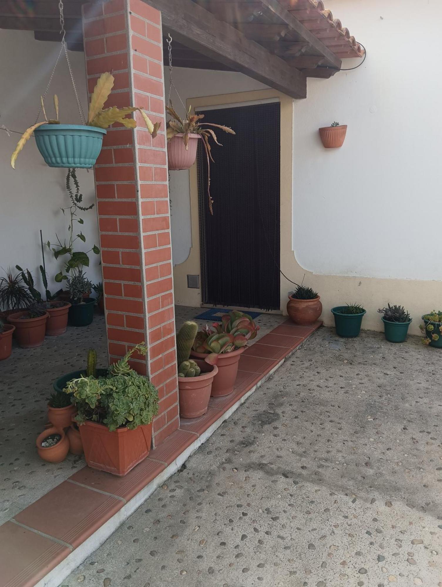 Cantinho Da Susy Golega Ngoại thất bức ảnh